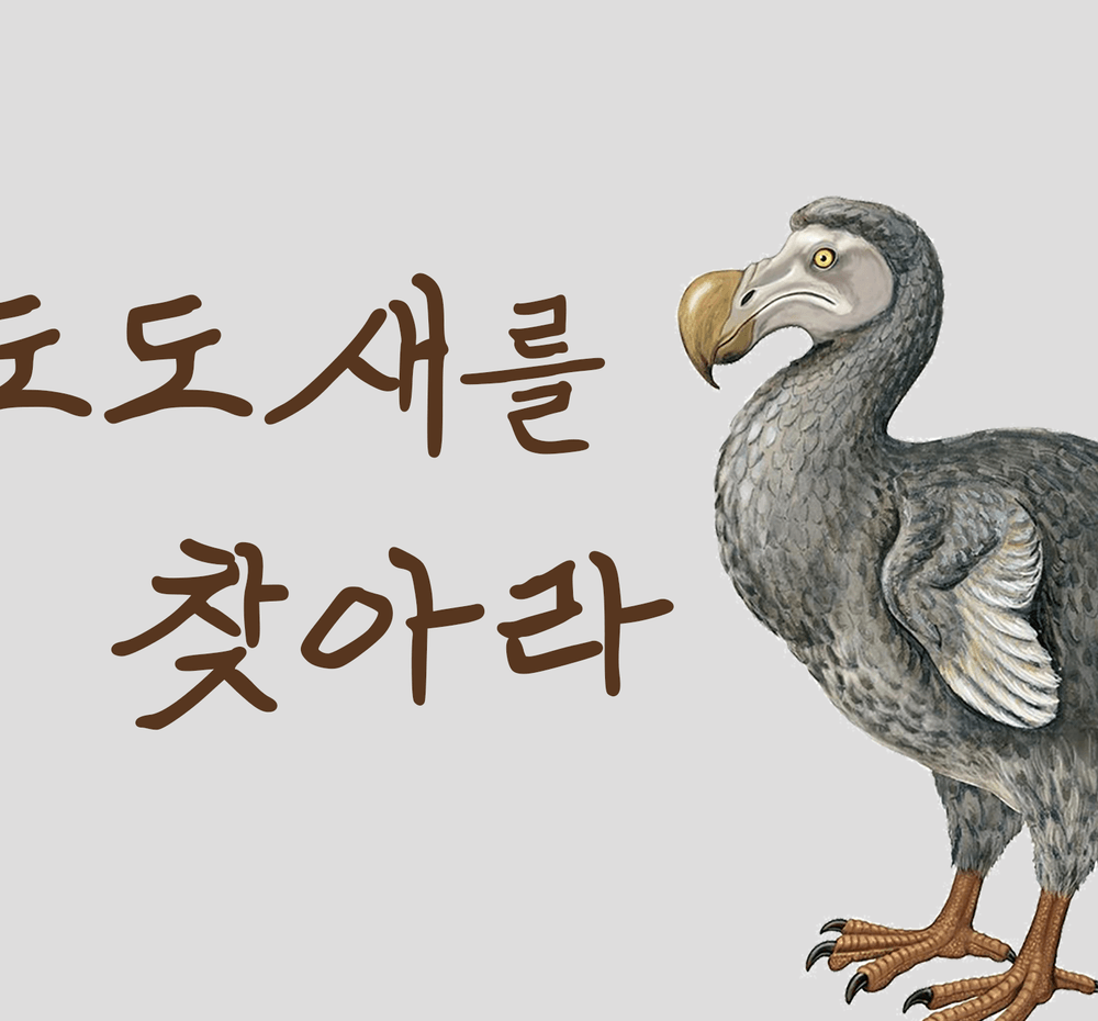 프로젝트 커버 이미지