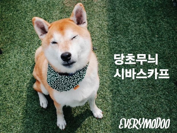 프로젝트 커버 이미지