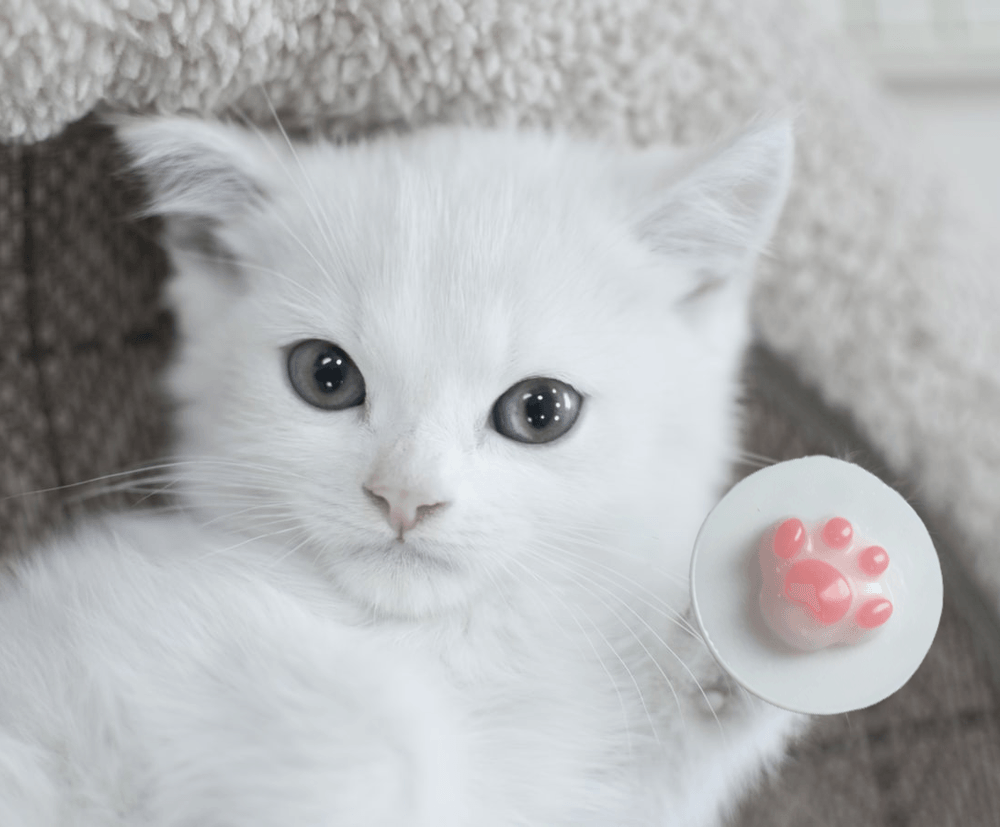 기본 프로젝트 커버 이미지