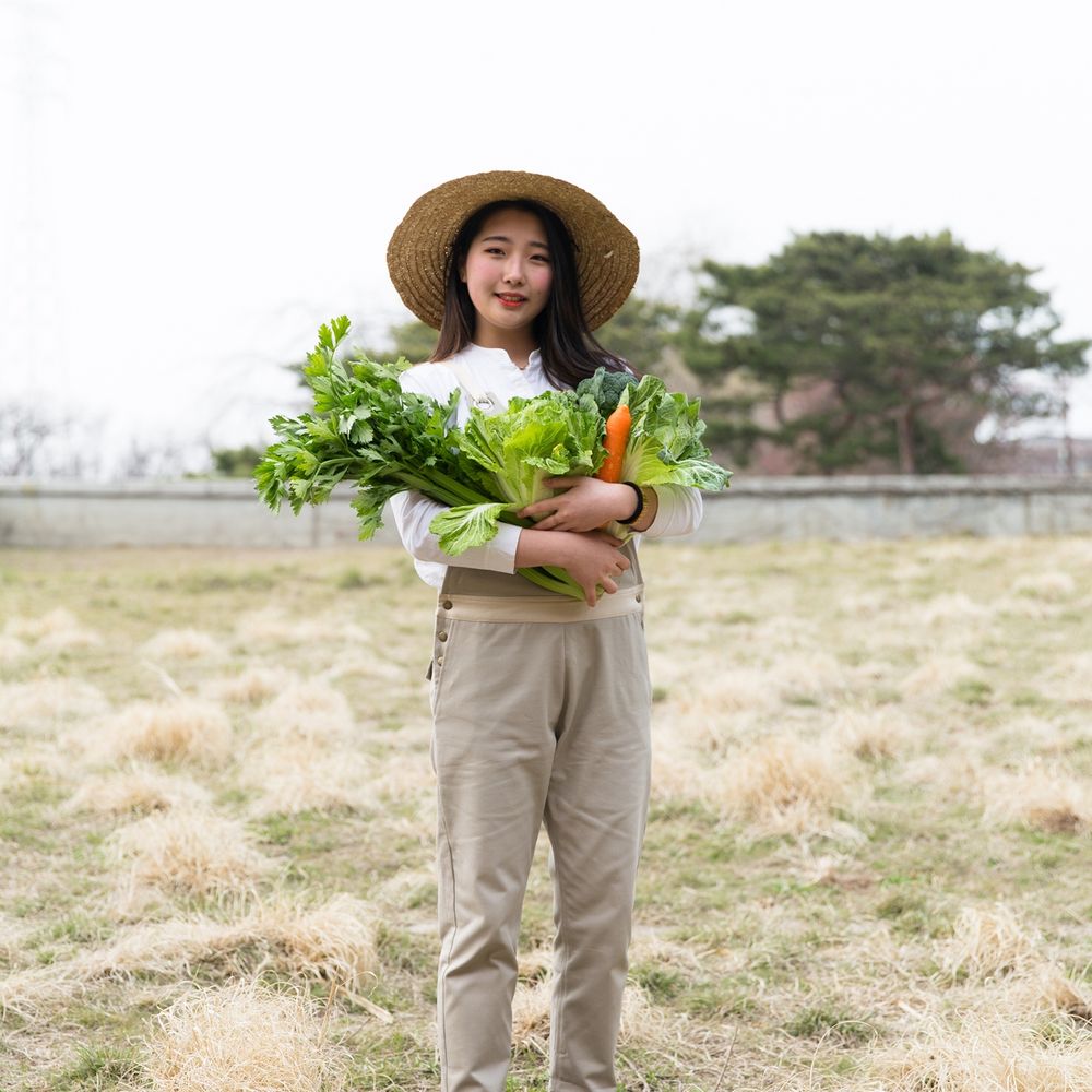 기본 프로젝트 커버 이미지