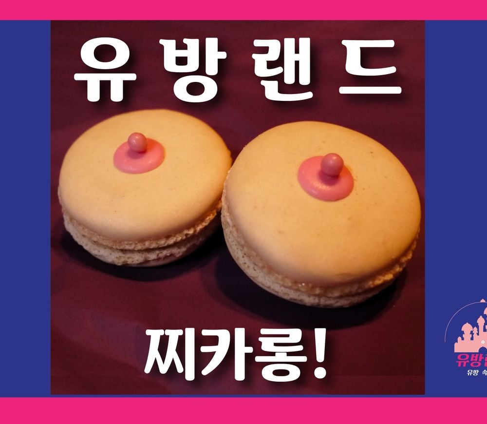 기본 프로젝트 커버 이미지