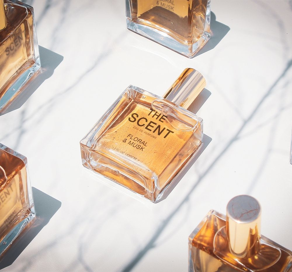 기본 프로젝트 커버 이미지