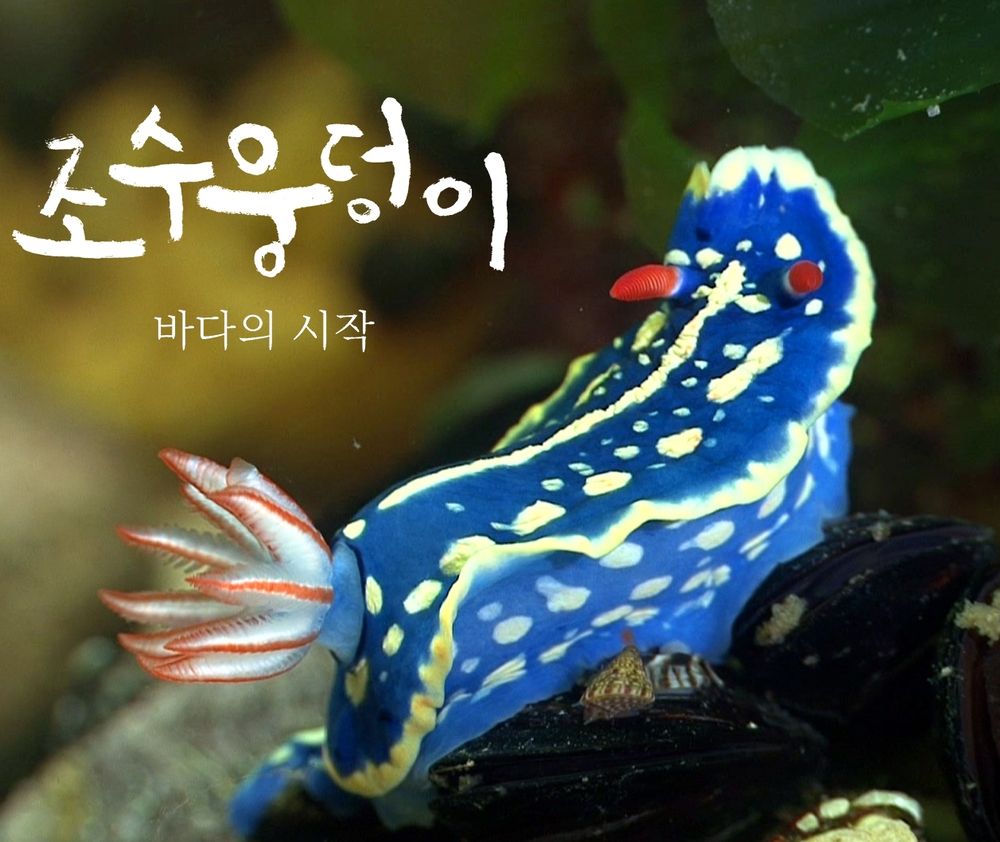 기본 프로젝트 커버 이미지