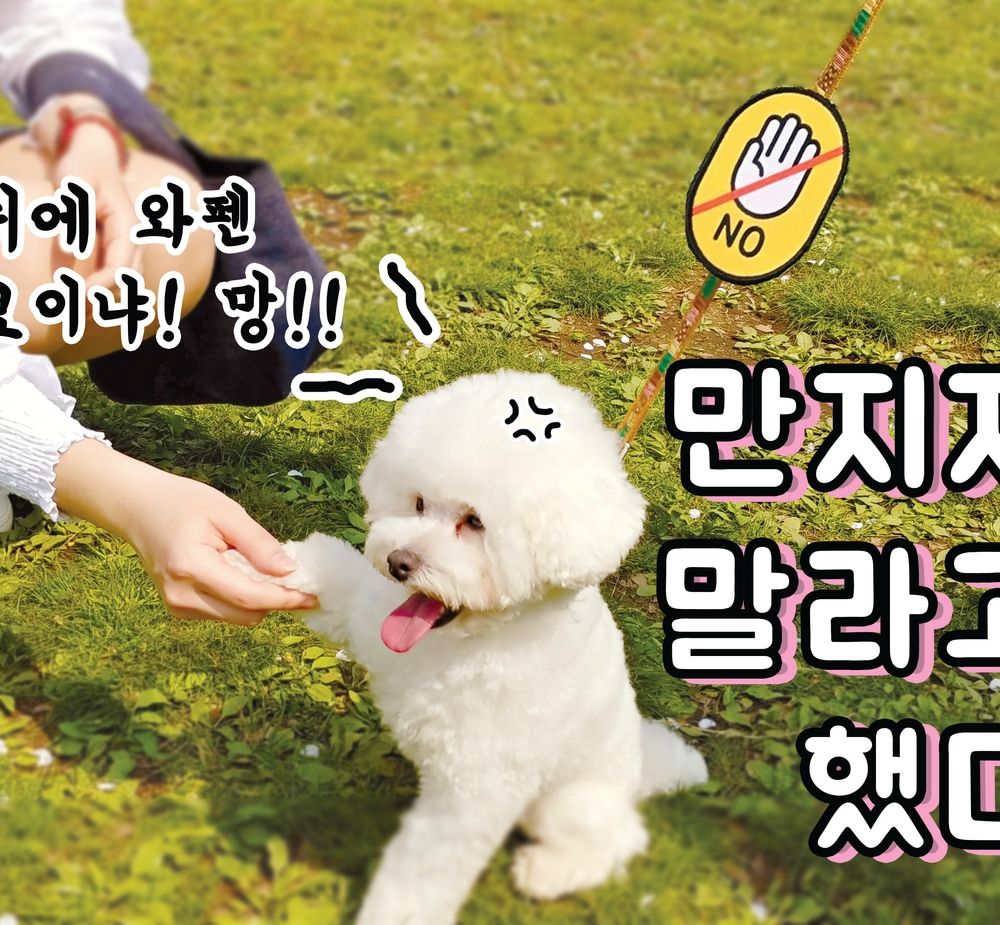 프로젝트 커버 이미지