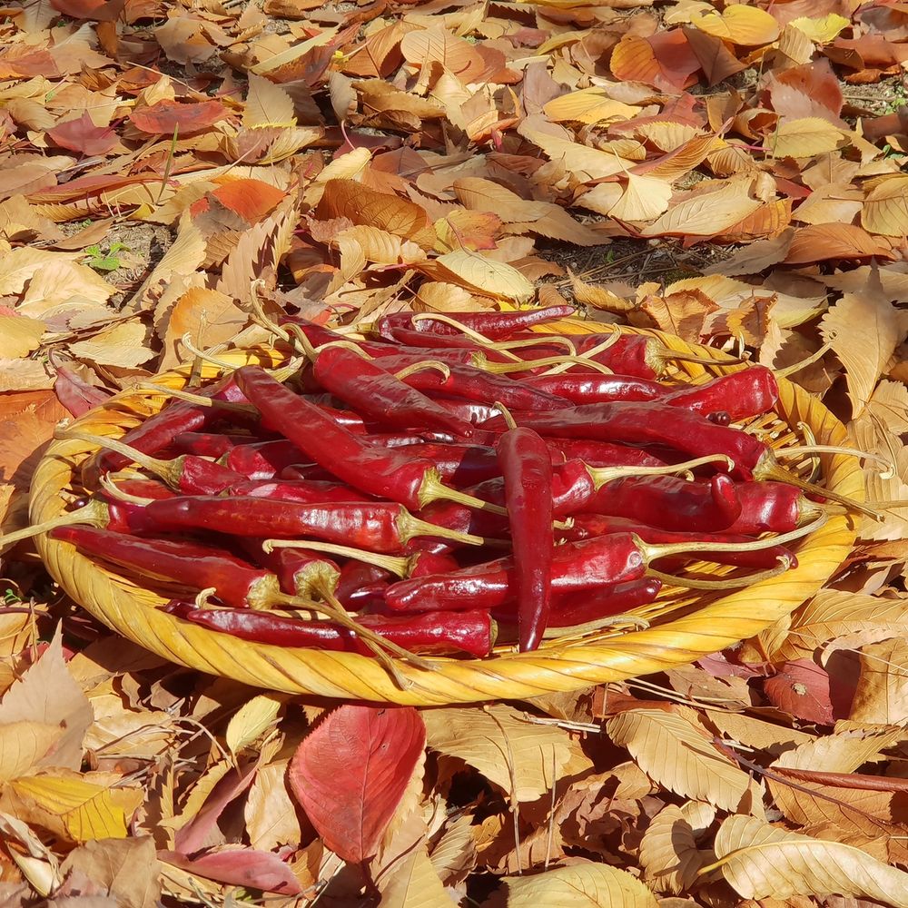 기본 프로젝트 커버 이미지