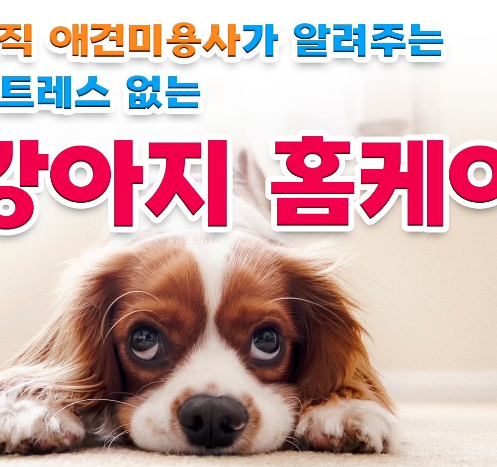 프로젝트 커버 이미지