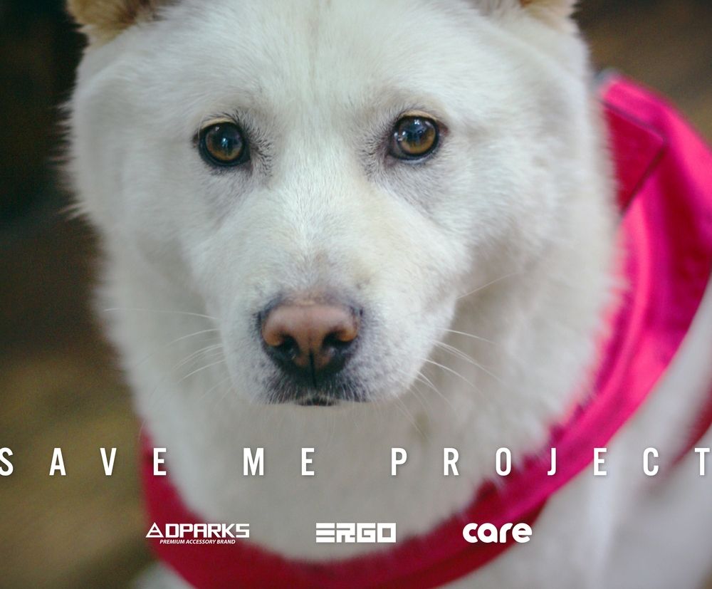 기본 프로젝트 커버 이미지