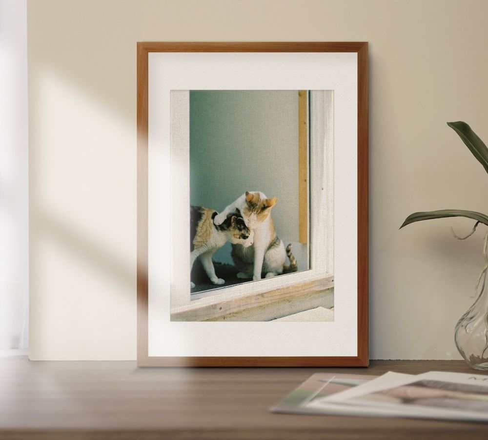 프로젝트 커버 이미지