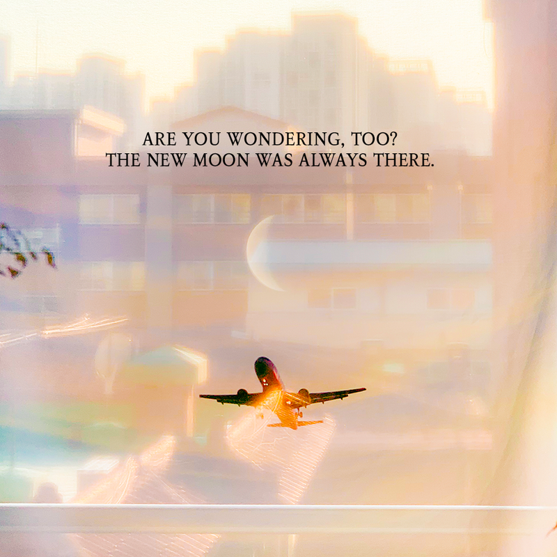 방황하는 이방인을 위한 달의 안내서:New Moon