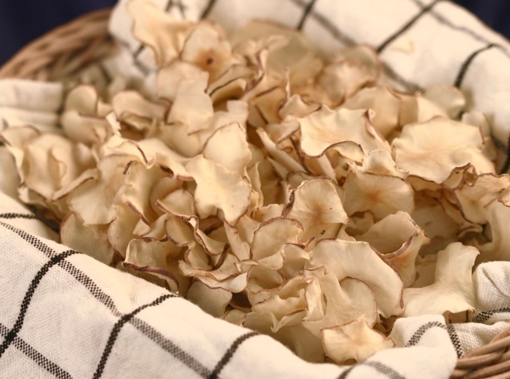 기본 프로젝트 커버 이미지