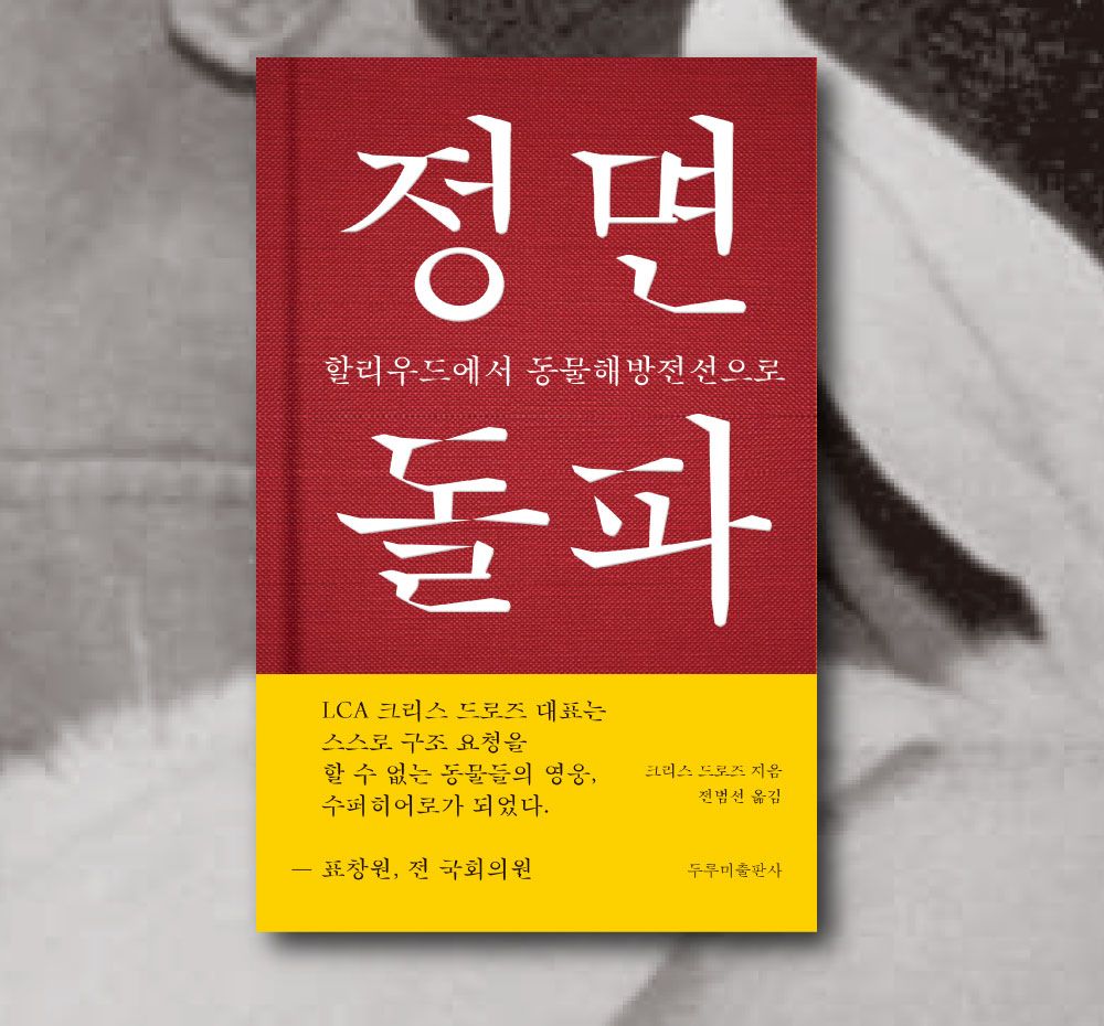 기본 프로젝트 커버 이미지