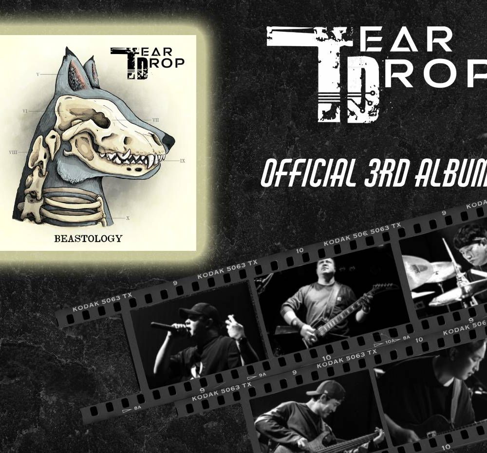 기본 프로젝트 커버 이미지