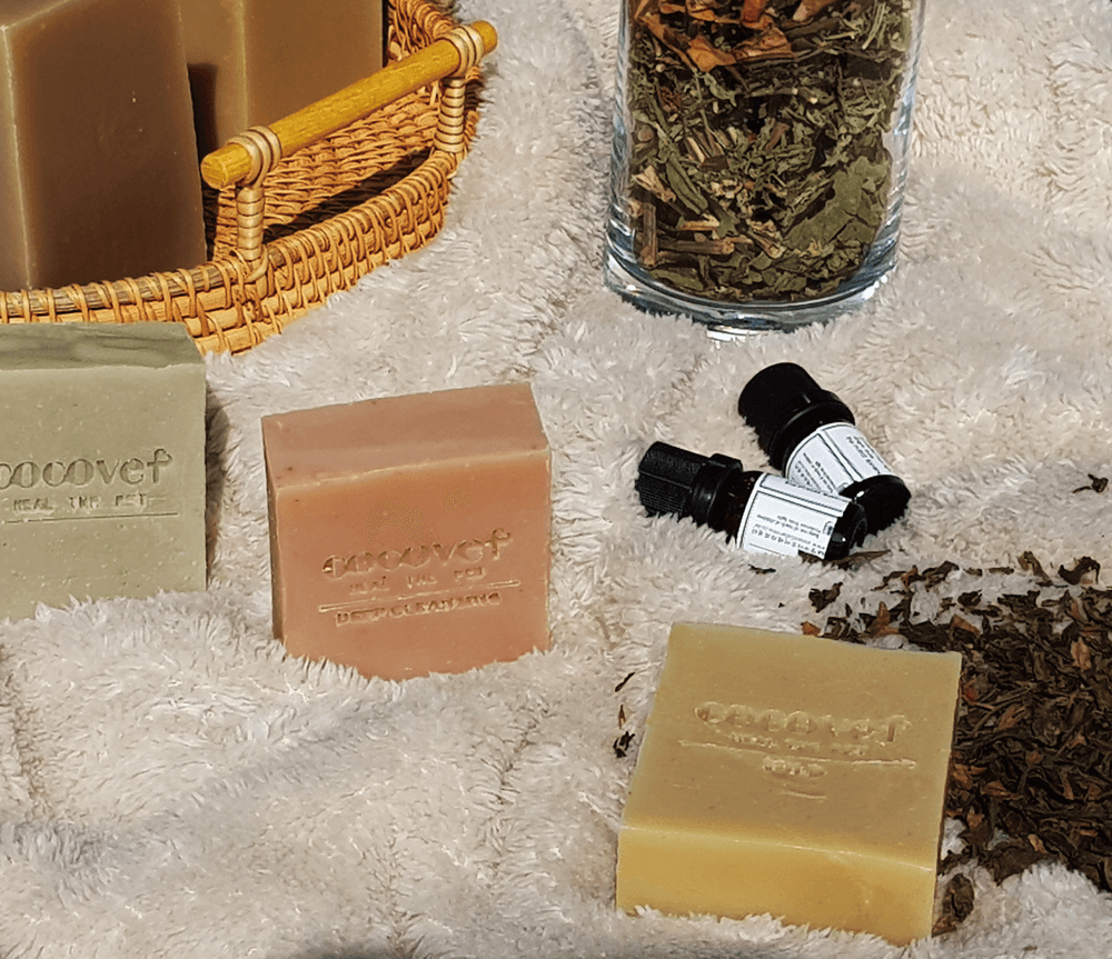 프로젝트 커버 이미지