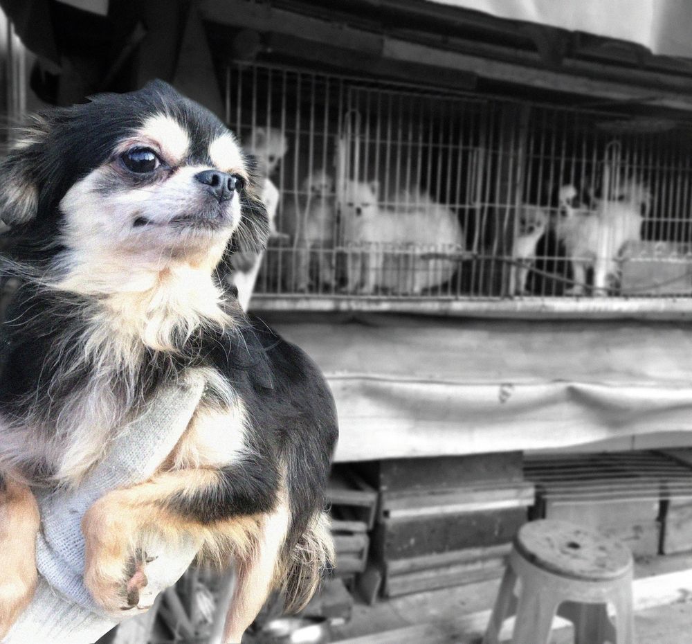 기본 프로젝트 커버 이미지