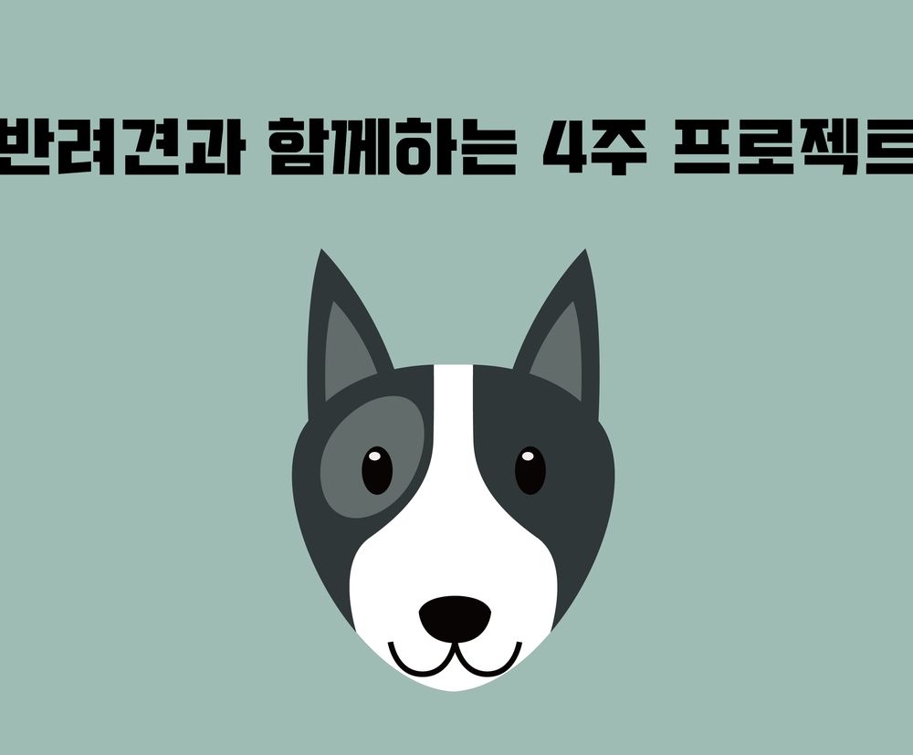 프로젝트 커버 이미지