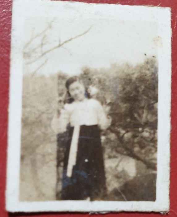 프로젝트 커버 이미지