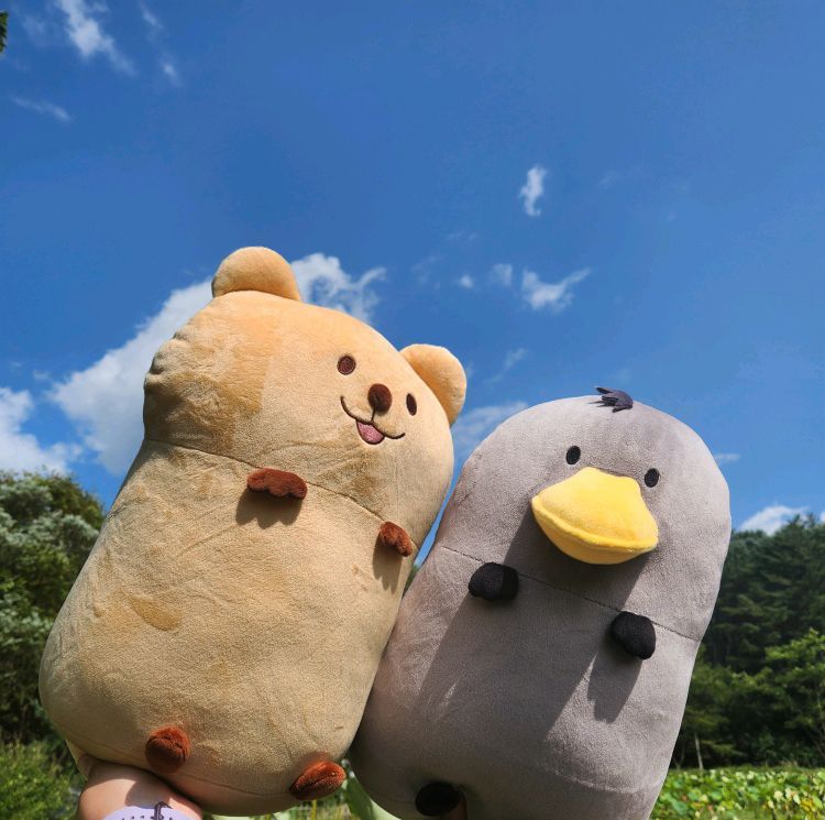 프로젝트 커버 이미지