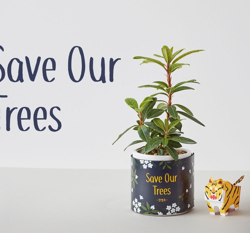 기본 프로젝트 커버 이미지