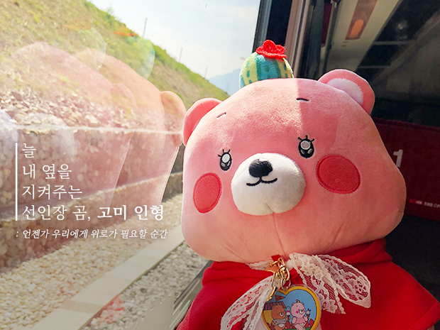 프로젝트 커버 이미지