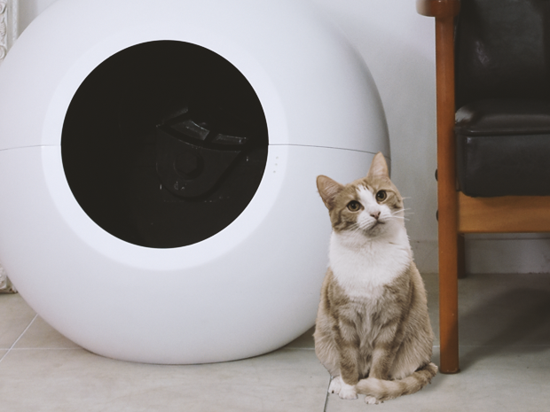 기본 프로젝트 커버 이미지