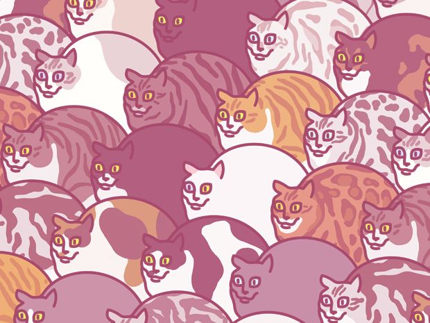 프로젝트 커버 이미지