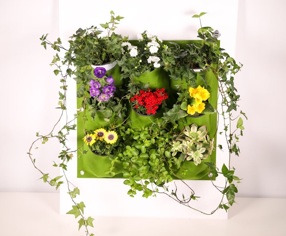 프로젝트 커버 이미지