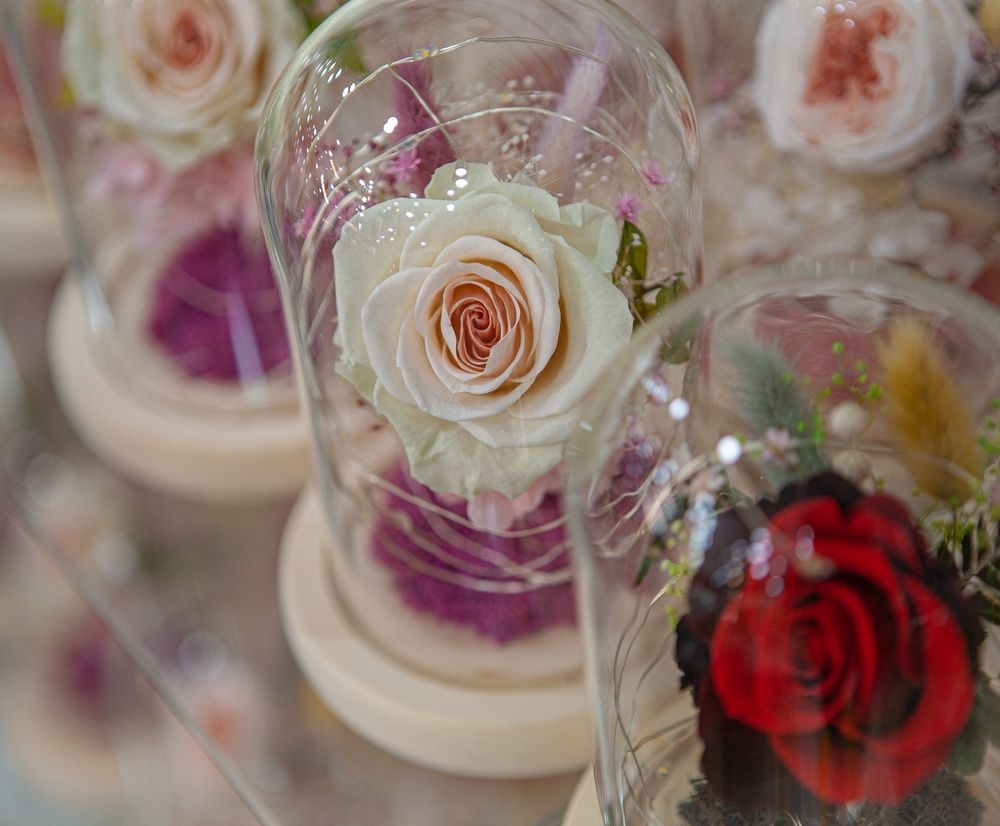 프로젝트 커버 이미지