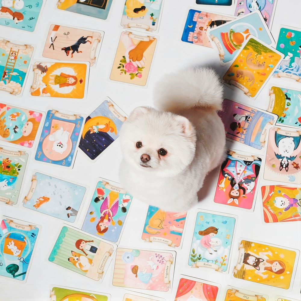 프로젝트 커버 이미지