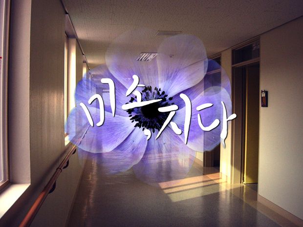 프로젝트 커버 이미지