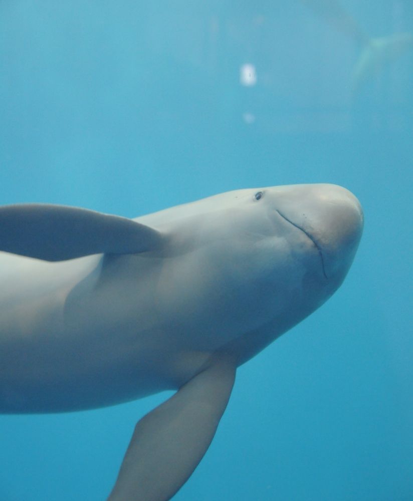 프로젝트 커버 이미지