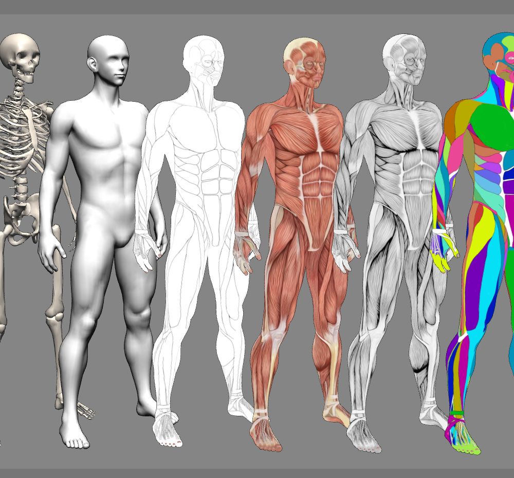 프로젝트 커버 이미지