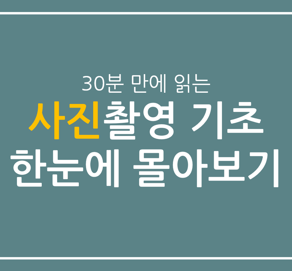 프로젝트 커버 이미지