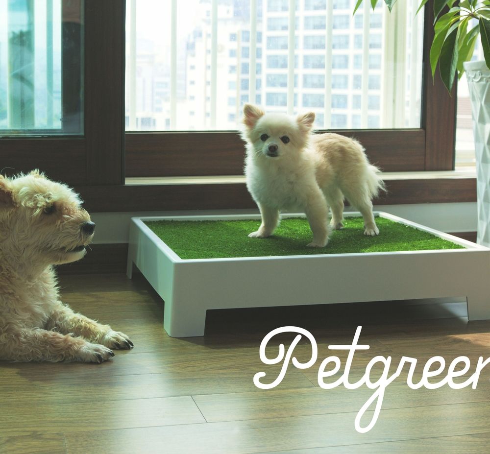 기본 프로젝트 커버 이미지