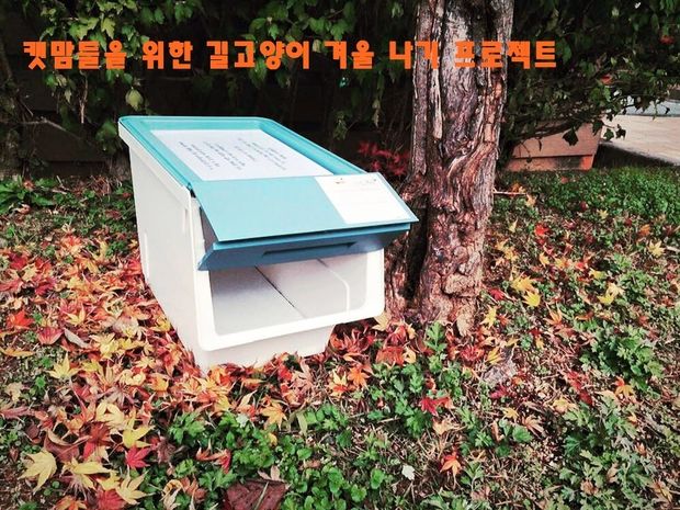 프로젝트 커버 이미지