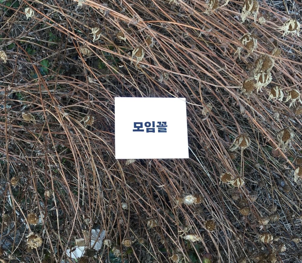 기본 프로젝트 커버 이미지