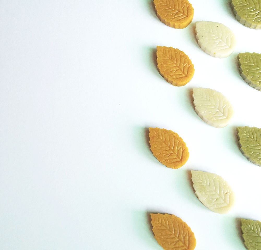 프로젝트 커버 이미지