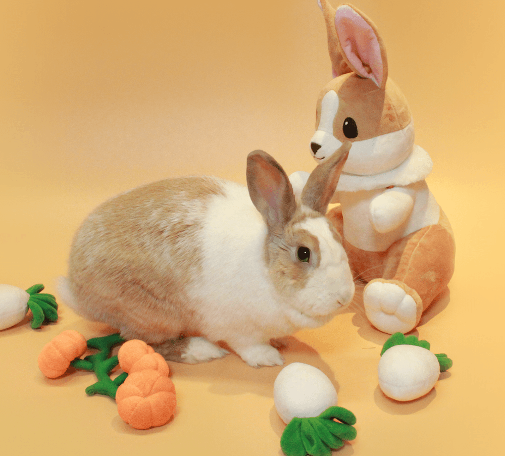 기본 프로젝트 커버 이미지