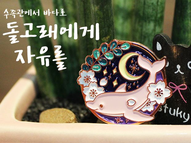 프로젝트 커버 이미지