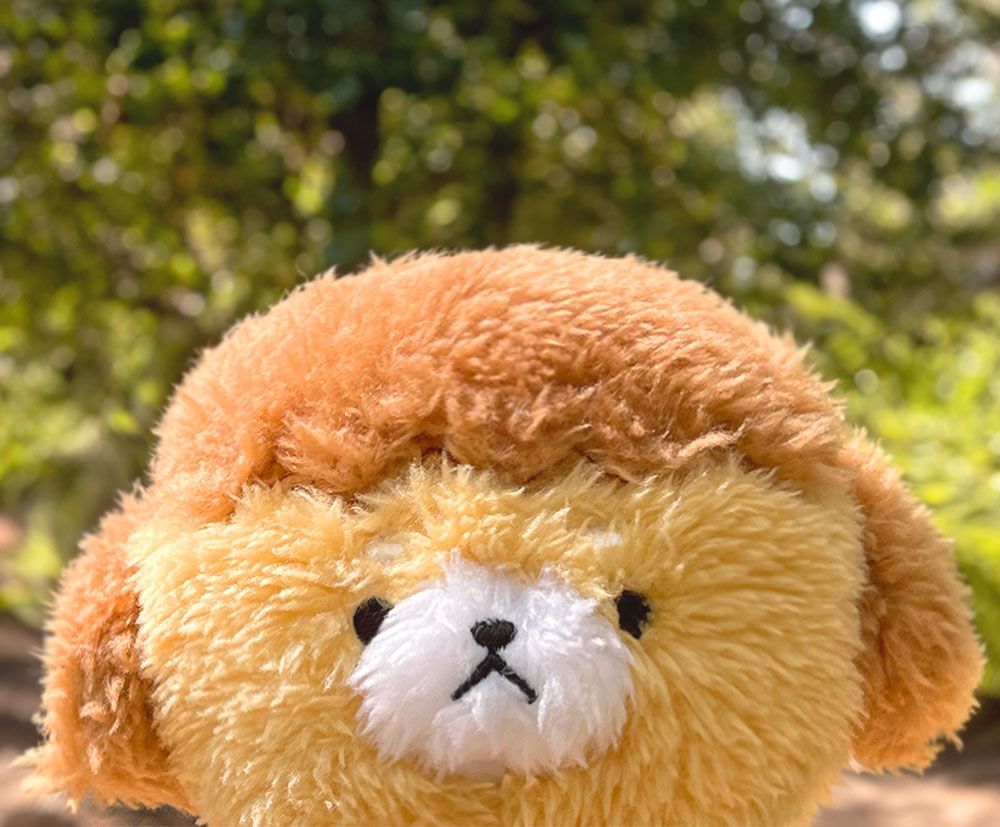 프로젝트 커버 이미지