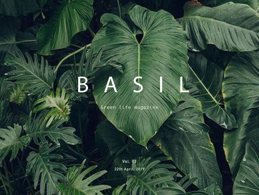 프로젝트 커버 이미지