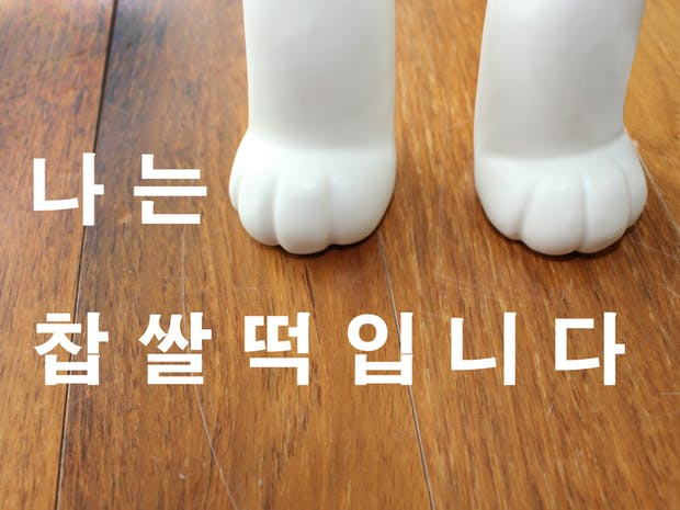 프로젝트 커버 이미지