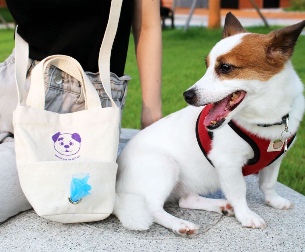 프로젝트 커버 이미지