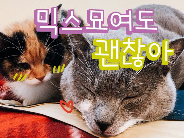 프로젝트 커버 이미지