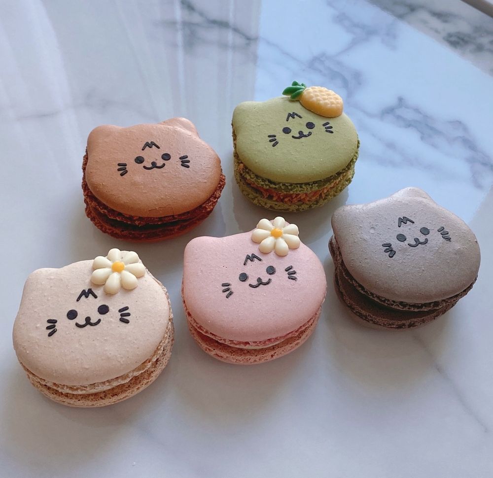 냥냥 마카롱 & 11월 탄생석 초콜릿 | 텀블벅 - 크리에이터를 위한 크라우드펀딩