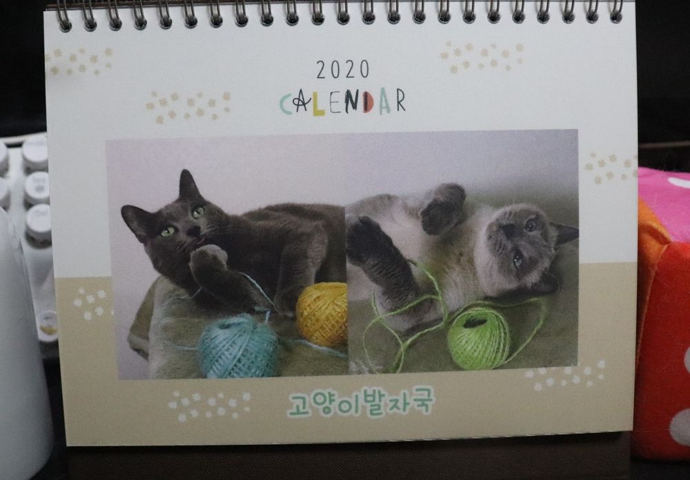 프로젝트 커버 이미지