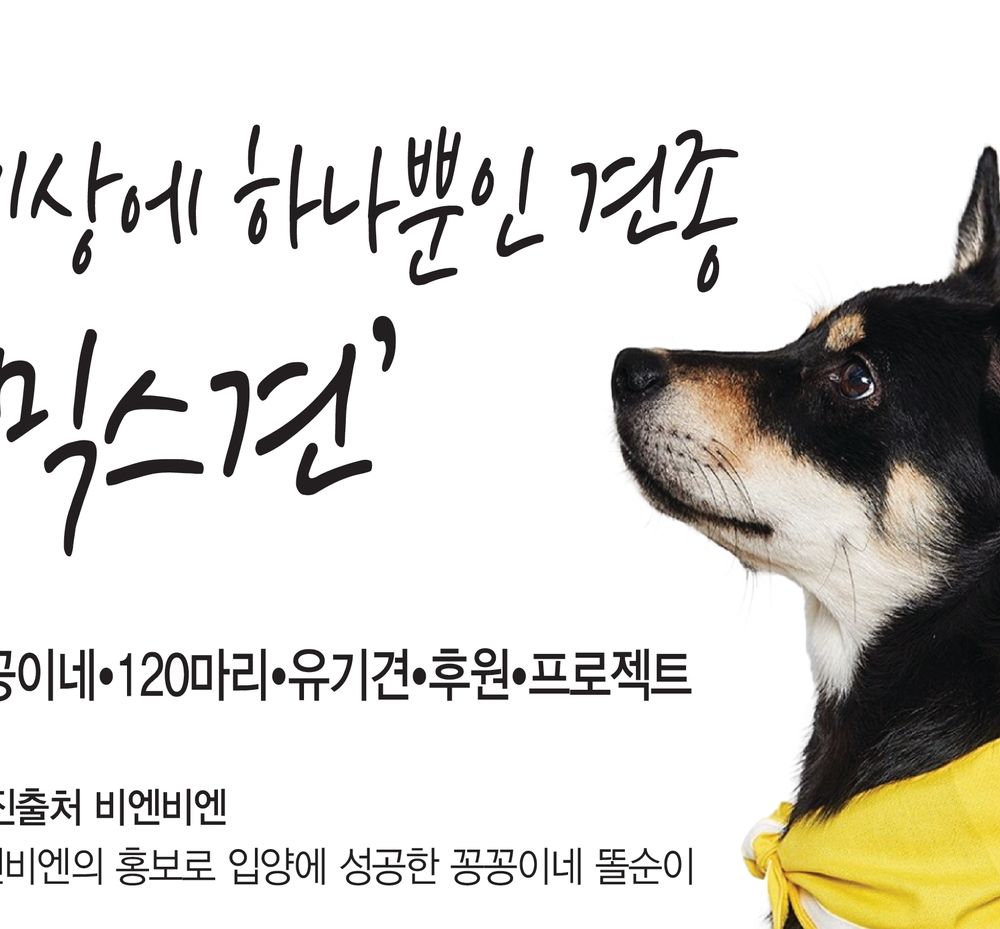 프로젝트 커버 이미지