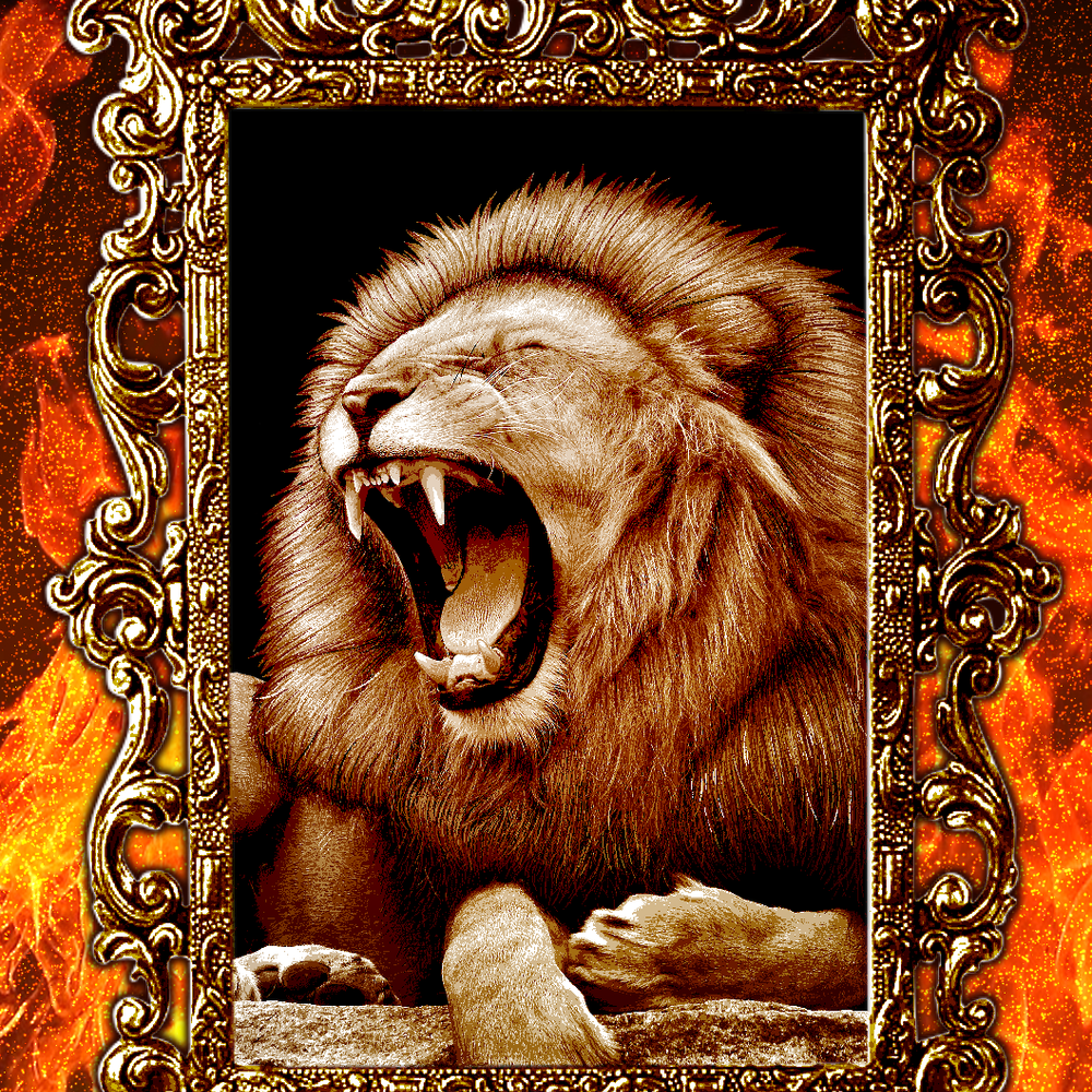 기본 프로젝트 커버 이미지