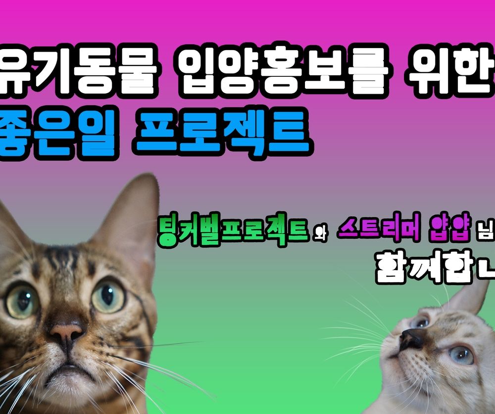 기본 프로젝트 커버 이미지
