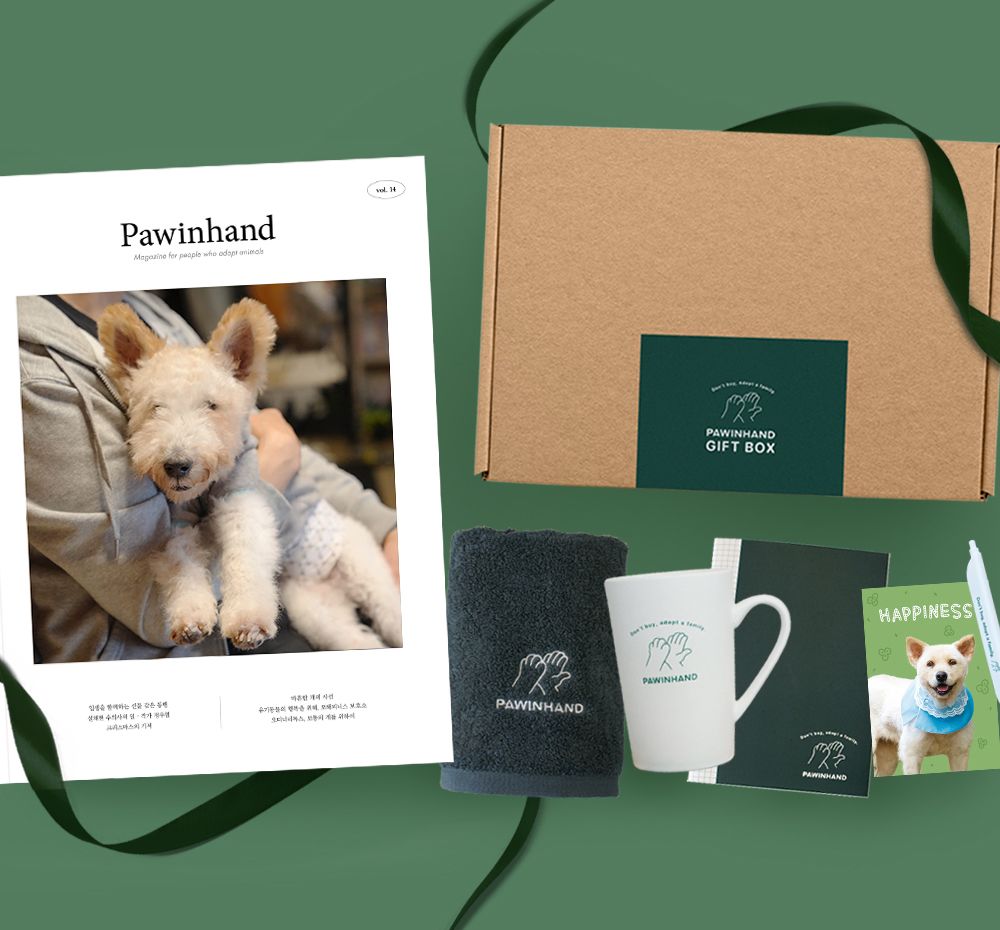 기본 프로젝트 커버 이미지