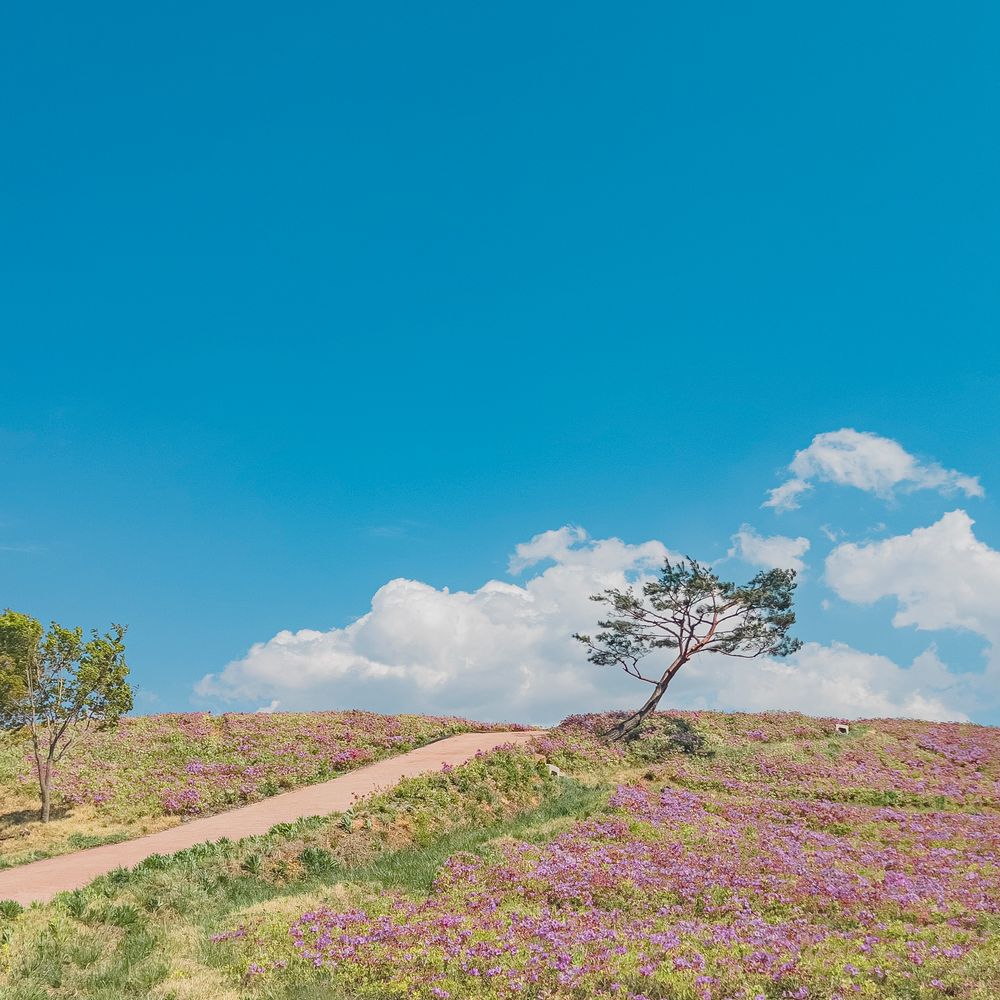 프로젝트 커버 이미지
